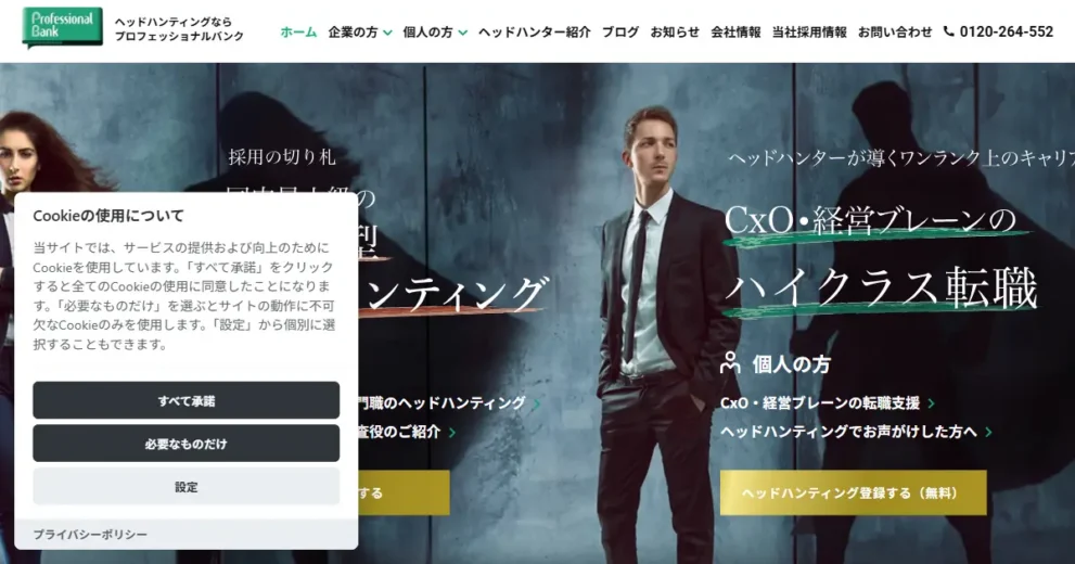 プロフェッショナルバンク